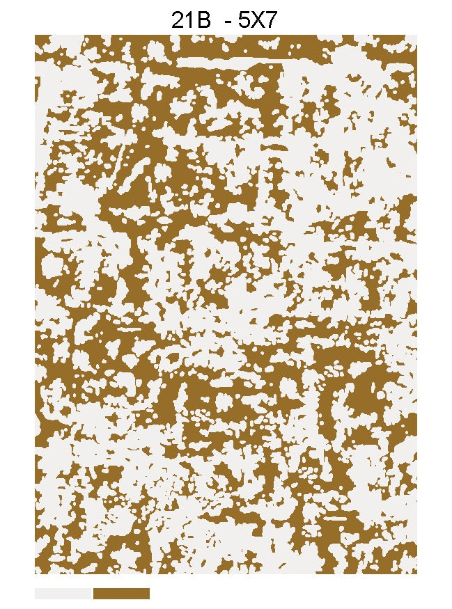 CD17 Bisha Rugs