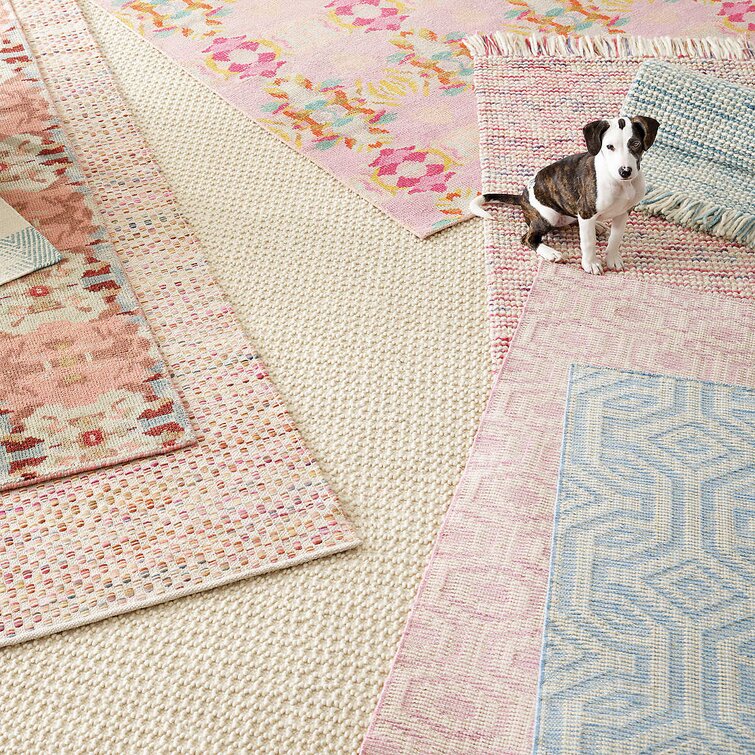 Casar Hand-Tufted Wool Area Rug