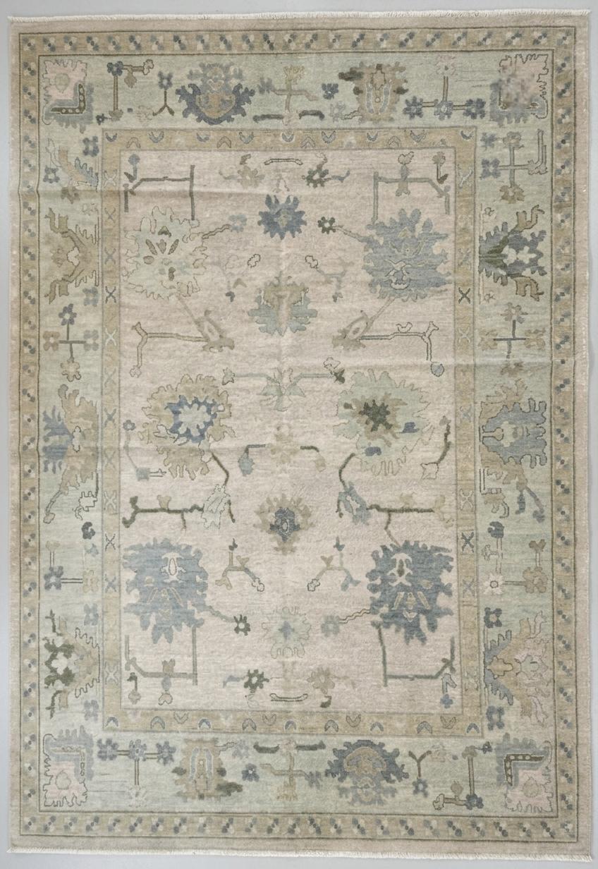 Evangeline Modern Oushak Rug