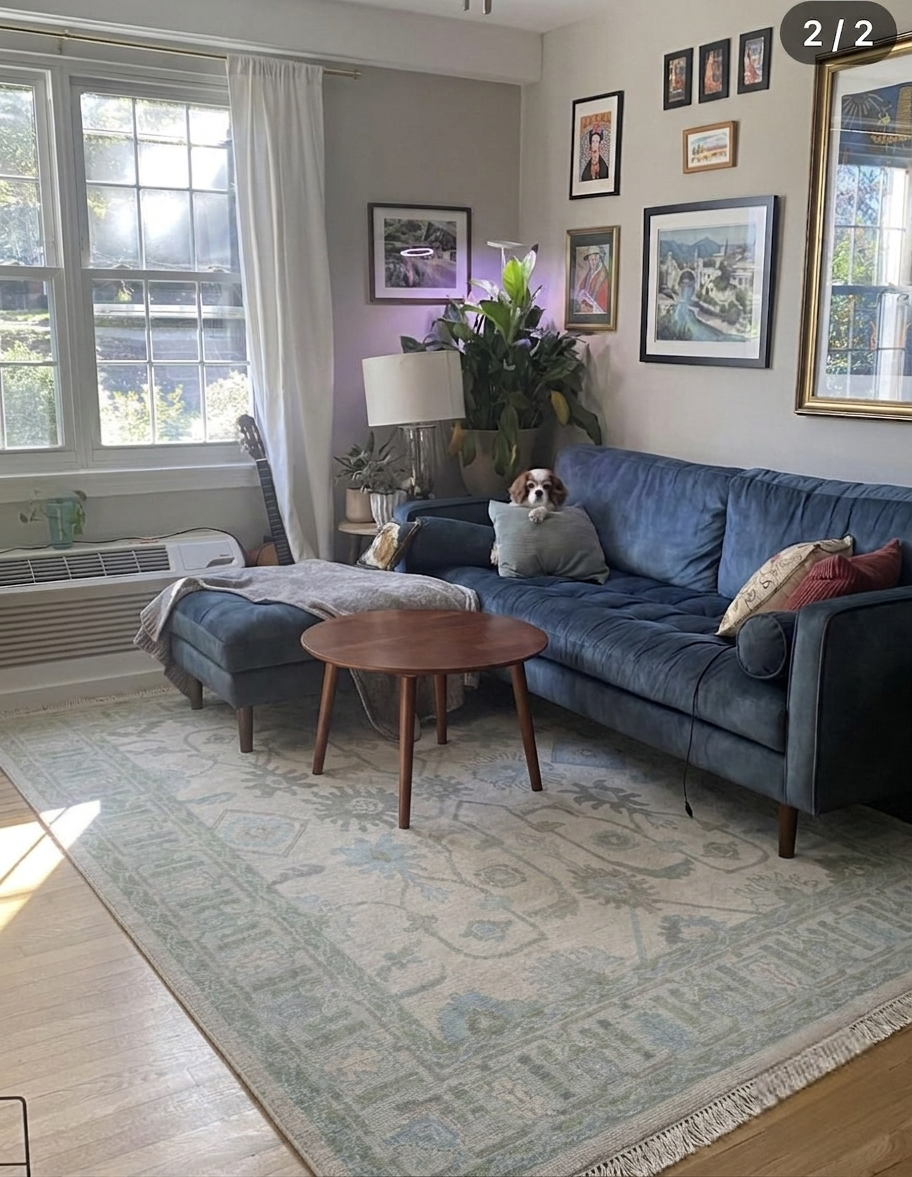 VANA Oushak Style Hand Knotted Rug